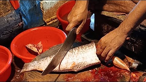 Real Fish Blogger // "Skill in cutting different types of fish 🐟🔪🐠🔪"