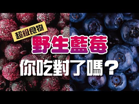 野生藍莓和藍莓哪個抗氧化高｜Wild Blueberry  vs cultivated｜Celery Juice 2021