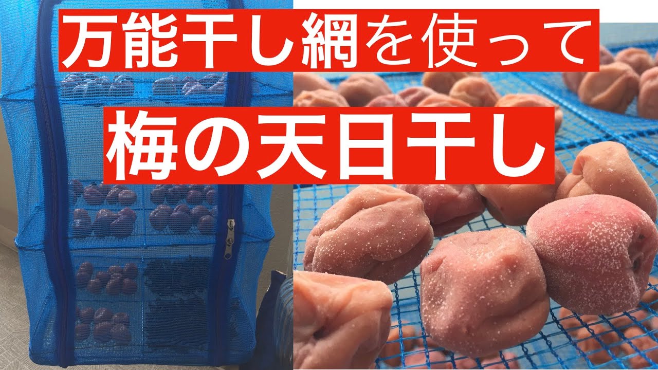 梅の天日干し作業回転板 maxresdefault.jpg