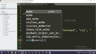 Section 8  Arrays, Lecture 24  Arrays and Indexed Arrays Net Worth