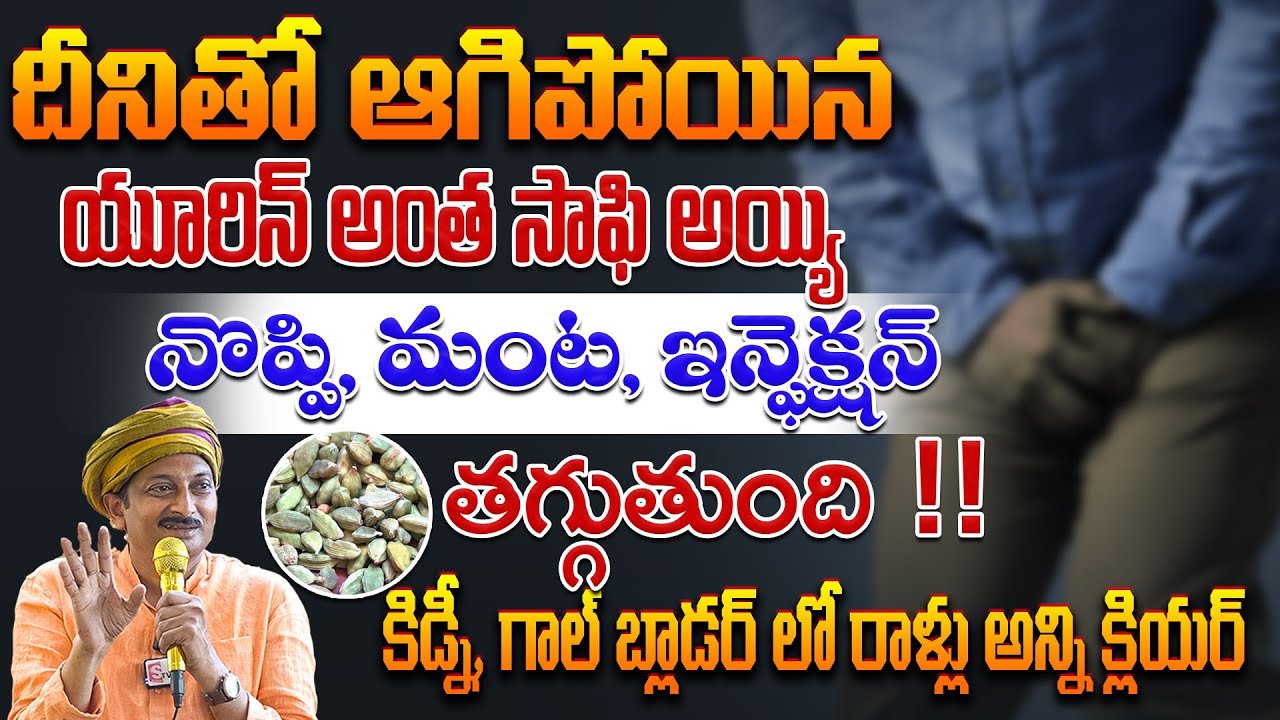 ఆగిపోయిన యూరిన్ అంత సాఫి అయ్యి నొప్పి, మంట, ఇన్ఫెక్షన్ తగ్గుతుంది | Dr.Ravivarma | AYUR MANTRA