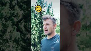 Wat Een Bijzondere Verschijning