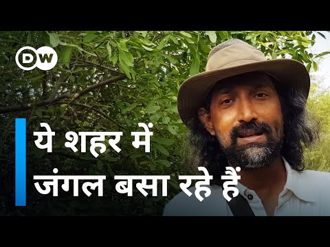 वीडियो: आवाज एरियल पर?