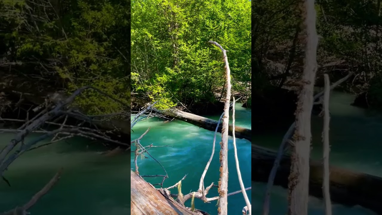 Thunder Creek in North Cascades National Park