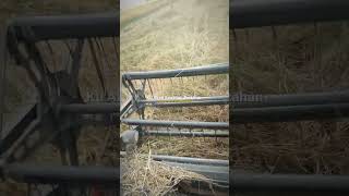 Terluka Lagi shorts shortsfeed masukberanda liriklaguindo short shorts