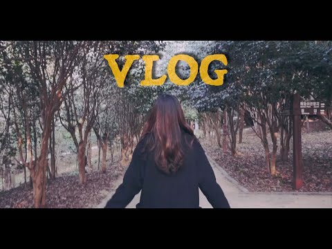 여수 밤바다 (COVER) & 여수 여행VLOG(브이로그) _  COVER BY. 신나라