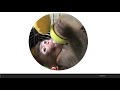 Aris - The Japanese Snow Monkey story