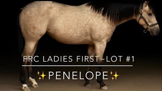 Lot #1 FRC Ladies First, Feather River College Production Horse Sale 2026
