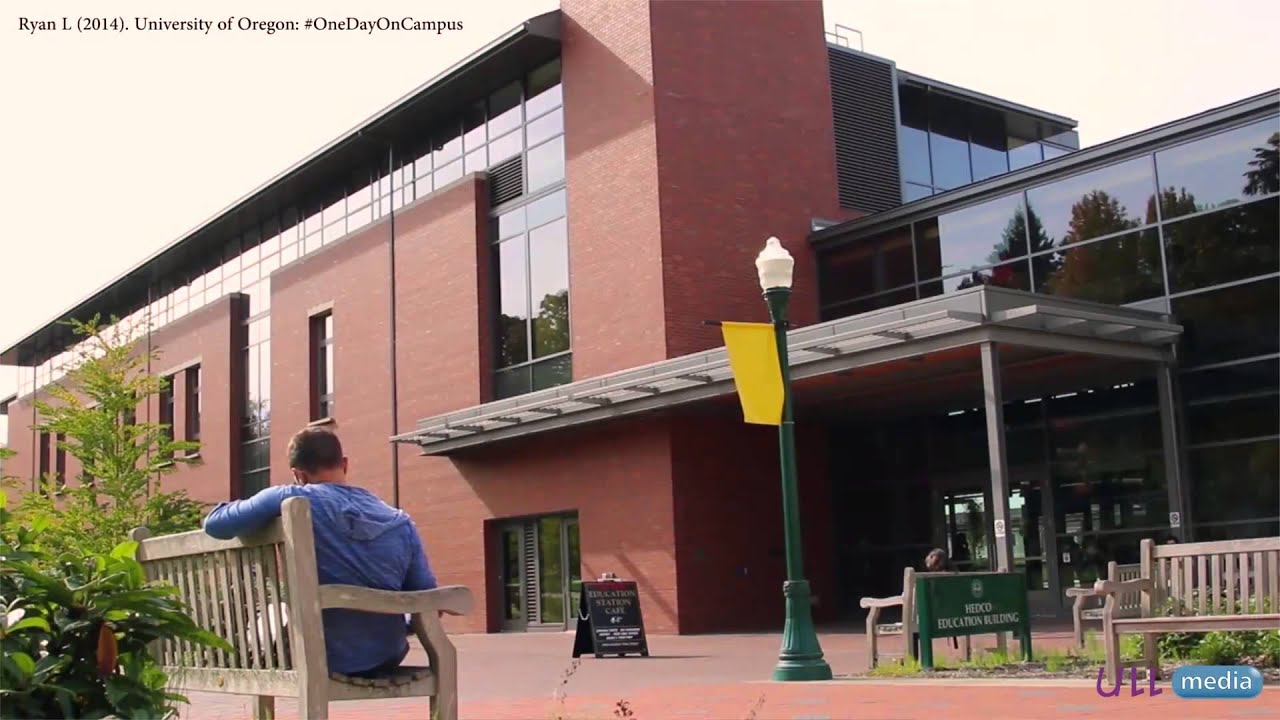 reportsconnect for kintone ULLresearch: Challenges and Prospects on learning disabilities in the XXI century