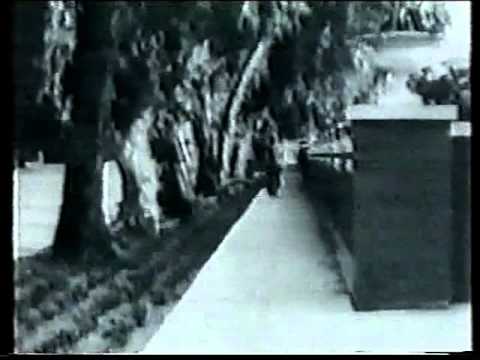 ჩემი საავტორო გადაცემები საქ. ტელევიზიის 1 არხი