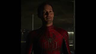 Tobey Maguire Edit - Spider Man: No Way Home