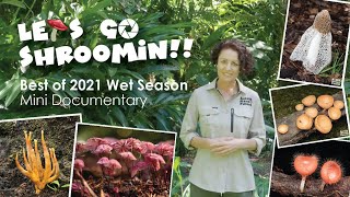 Let's Go Shroomin - Mushroom Photography Tour