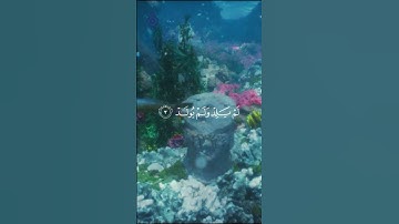 ﴿قُلْ هُوَ ٱللَّهُ أَحَدٌ﴾ | سورة الإخلاص بصوت مؤثر | الشيخ فارس عباد
