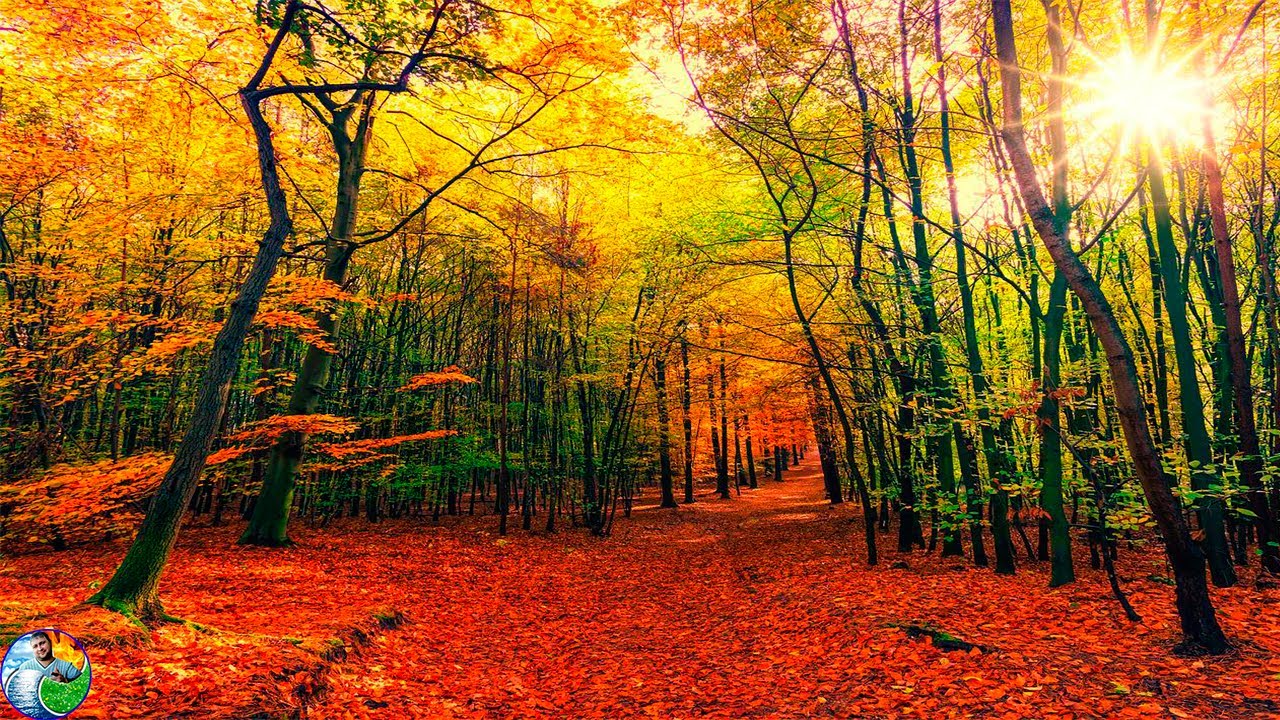 The gentle music of the Pan-flute calms the nervous system and pleases the soul  \ Spa \ Yoga \ Zen