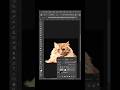 ازاي نقص صور الحيوانات اللي عندها فرو بالفوتوشوب #photoshoptricks #photoshoptutorial #photoshop 🤯🤯