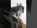 الزغلول لي عتقتو فالبيضة من المووت محقق شوفو كيف رجع مشاء الله 🕊️💯🤲🥰🙏