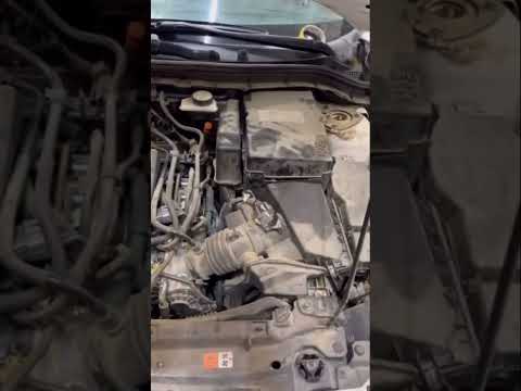 برانکارد بیارید منو روش بذارید