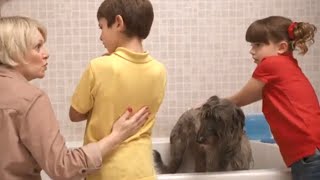 Tosia I Tymek Po Polsku Kąpanie Psa Bajki Dla Dzieci Po Polsku Topsy And Tim Polish