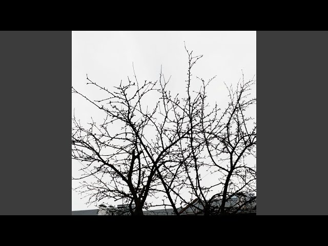 Лезвие ножа