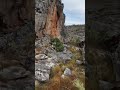 Nature's Beauty