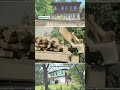 Ilgaz 1987 Ev Sökümü çankırı ılgaz 