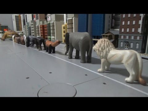 10마리 동물, 거대 악어와 맞서다 <strong>10</strong> animals <strong>face</strong> giant crocodiles