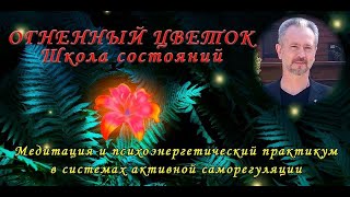 Школа состояний - Презентация методики ДФС  -  Огненный Цветок