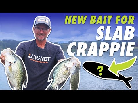 Hottest NEW Lure to Catch Slab Crappie! (Bobby Garland Live Roam'R