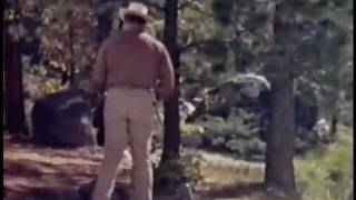 Clint Walker & Leo Gordon - Their Best Brawls Information