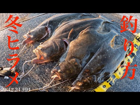 【冬ヒラメ釣り！】真冬にヒラメ連発！釣果爆上がり！冬の鮃はコレで狙え！