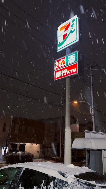 Snowy night⛄️🇯🇵 #japan #snowfall