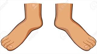 Body Parts  - Pre-Entry ESOL