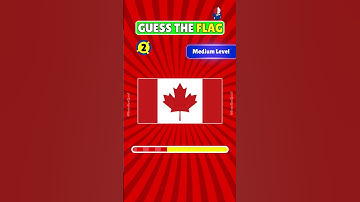 Can You Guess These Country Flags? 🌍🔥 Test Your Knowledge!  #guesstheflag