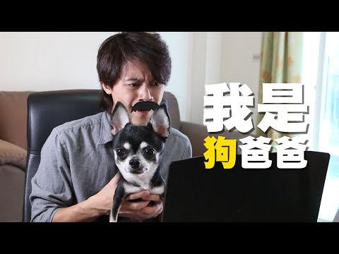 HowFun / 我是狗爸爸