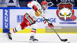 Joseph Berger, Malmö Redhawks