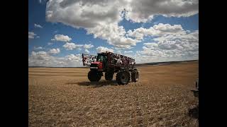 This is What MDM Farms Looks Like Now