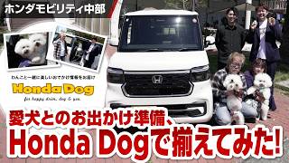 【Honda Dog】愛犬とのお出かけ準備、Honda Dogで揃えてみた！