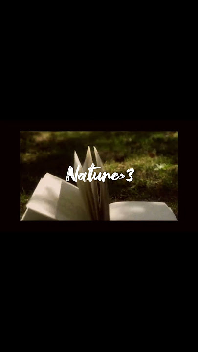 #music #nature #aesthetic #music #tranding