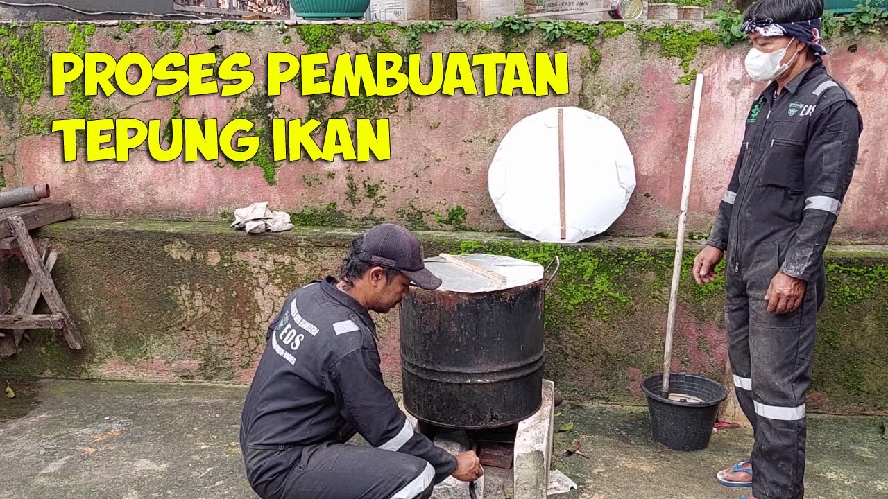 CARA PROSES PEMBUATAN TEPUNG IKAN