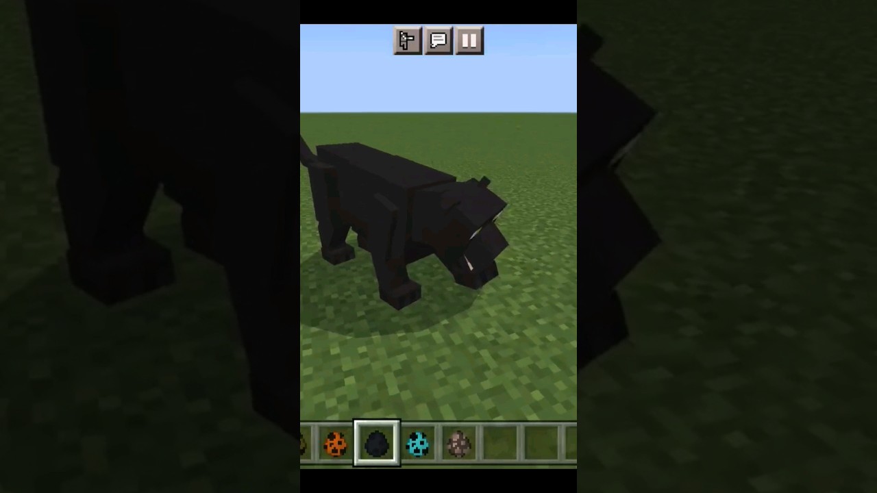 i spawn panther in Minecraft 