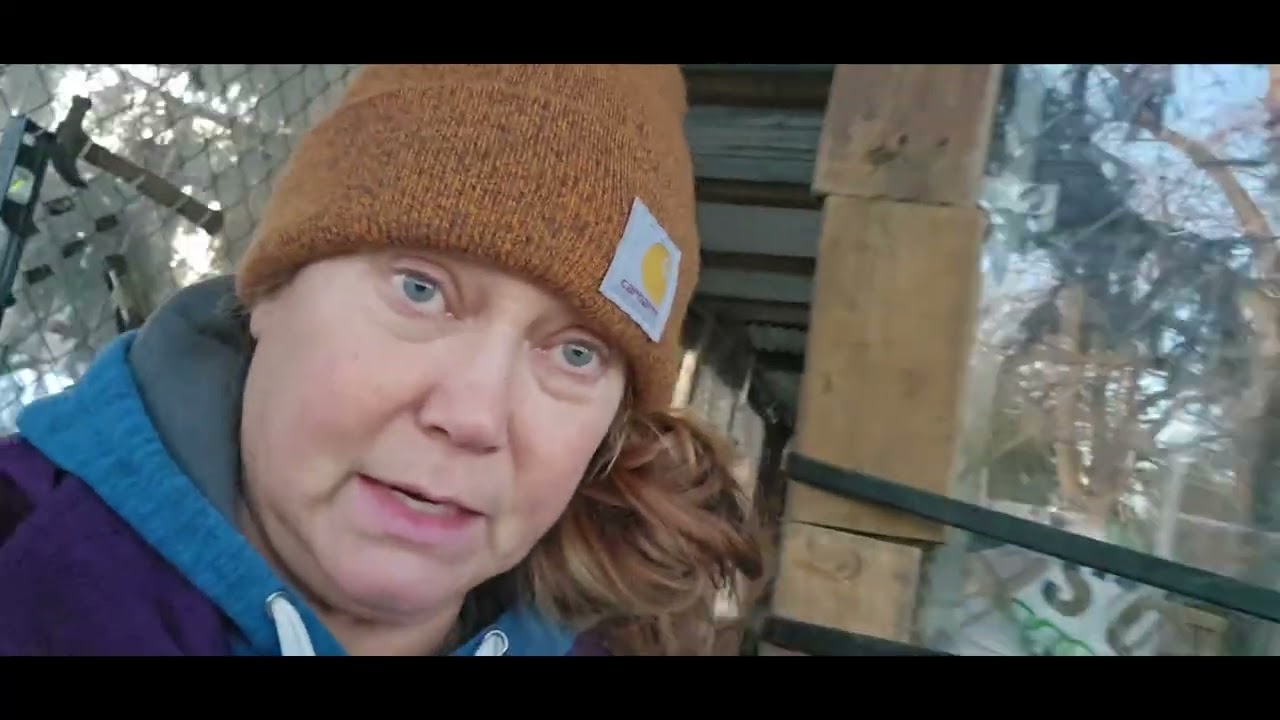 Day 12.  Chickens and garden relocation plans