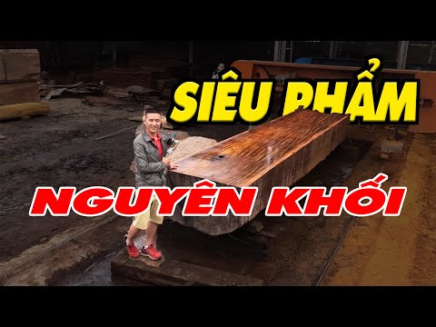 Video Sự thật về gỗ nguyên khối đều được phơi bày trong... - youtube