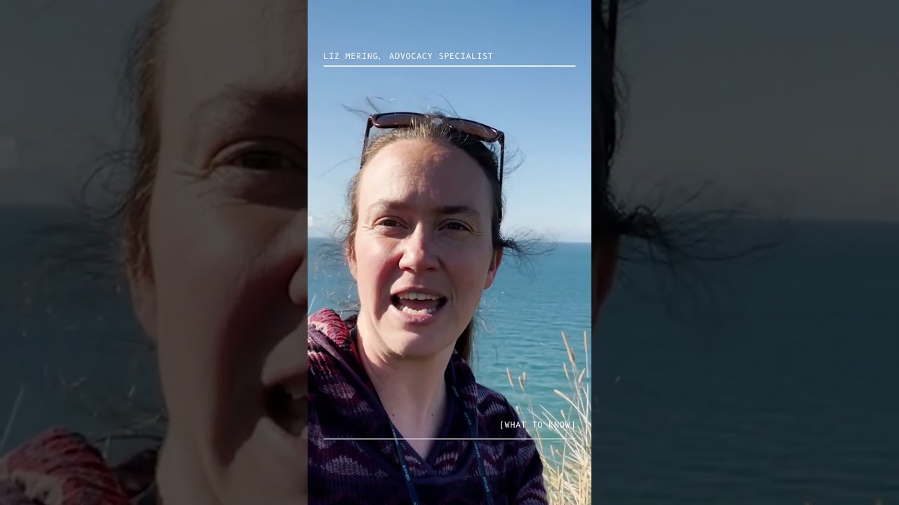 Lower Cook Inlet: Lease Sale 258