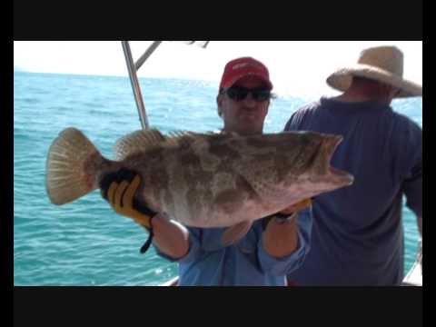 www.reefari.com Mackay fishing charters can be taken with Reefari from Mackay Marina. Check out another awesome fishing trip onboard Reefari, a fishing charter based from Mackay, Queensland smack bang in the middle of the Whitsundays and the Great Barrier Reef. Mackay is truly fishig paradise. A great video showing a great selection of reef fish which we regularly catch. Including a Monster 10kg Nannygai, Red emperor, Coral Trout, Goldspot Cod, Redthroat emporer and even Snapper. Quite a mixed bag and filled the Esky once again. Good fishing when you can fill a Spanish Mackerel esky!! So next time you're considering a fishing charter, check out our website and come fishing with us, well worth it. With four charter boats, we offer day trips and overnight liveaboards. Even an 80foot motherboat for extended trips up to two weeks and twenty people for that ultimate fishing adventure. Check out our Hardline Reefari, Mothership charter with Raptor II as a tender, and 3 14 foot dories. Simply unbeatable!! Also a new Charter boat, 24ft Obsession for sports fishing charters which can do 40 knots, so hang on!! Ideal for small groups of 2 - 4, and also for Giant trevally fishing, Spearfishing, gamefishing and a bit more. Mackay is located an easy hour or two flight from Brisbane and Sydney North for some of the best fishing Australia has to offer. Subscribe for heaps more fishing action, tips and news, Cheers Greg Check out our Mackay fishing charters website at www.reefari.com