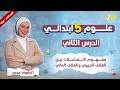 علوم خامسه ابتدائي الترم الثاني الدرس الثاني علوم الصف الخامس الابتدائي الترم الثاني علوم خامسه ابتدائي الترم الثاني الدرس الثاني علوم الصف الخامس الابتدائي الترم الثاني