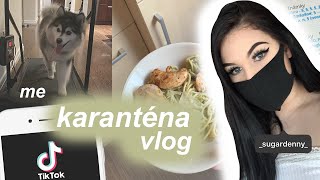 KARANTÉNA GOT ME LIKE: objednala jsem si běžecký pás | karanténa vlog part 3 | SugarDenny