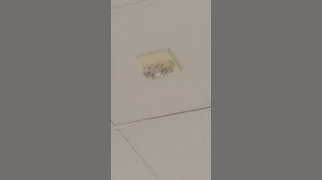 Wheelock RSS Remote Strobe