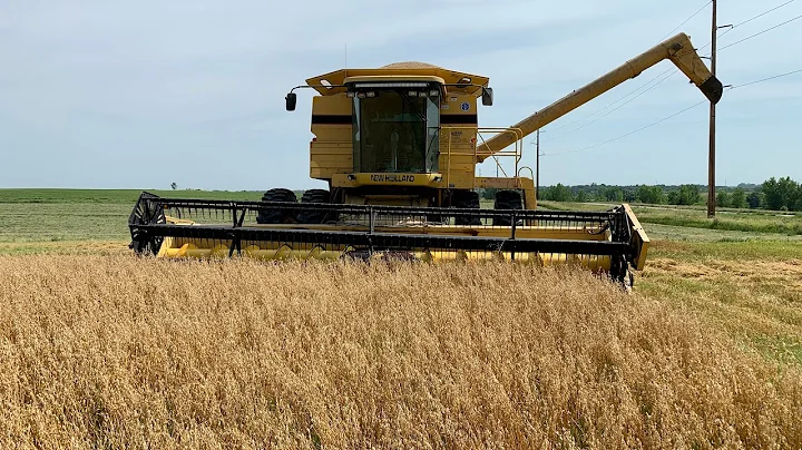 Our First Time Straight Combining Oats and Round Baling 2nd Cut Alfalfa Hay!