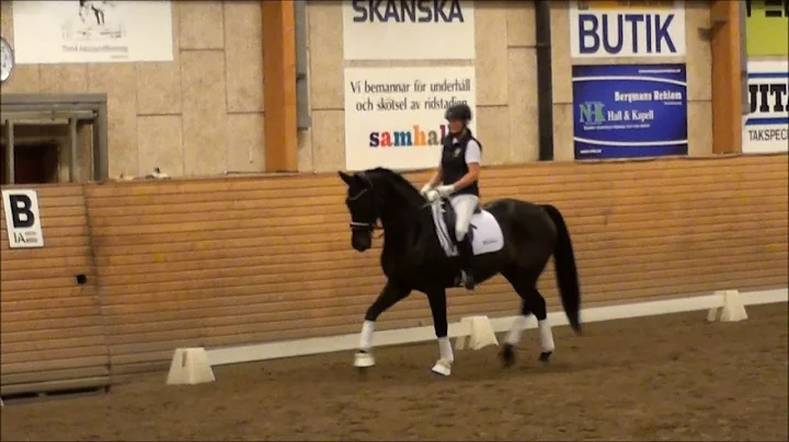 Woody Gonalo Carvalho clinic okt -17