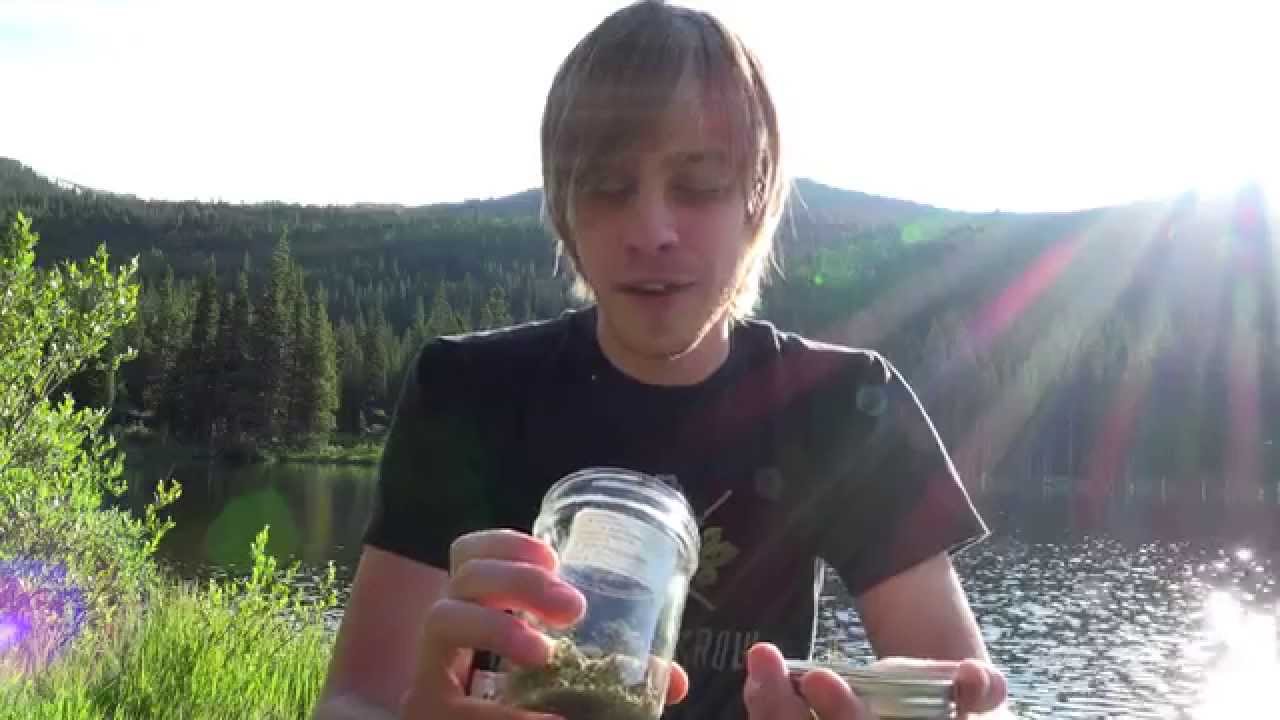 Agent Orange Strain Review